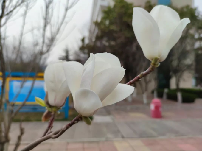 微信截图_20220316085856.png