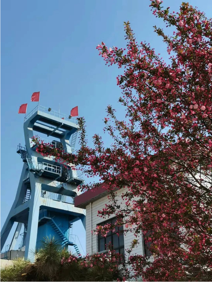 微信截图_20220316085954.png