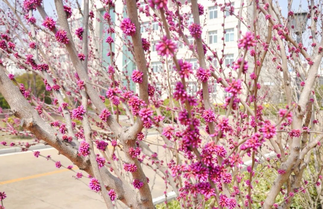 微信图片_20220316170350.jpg
