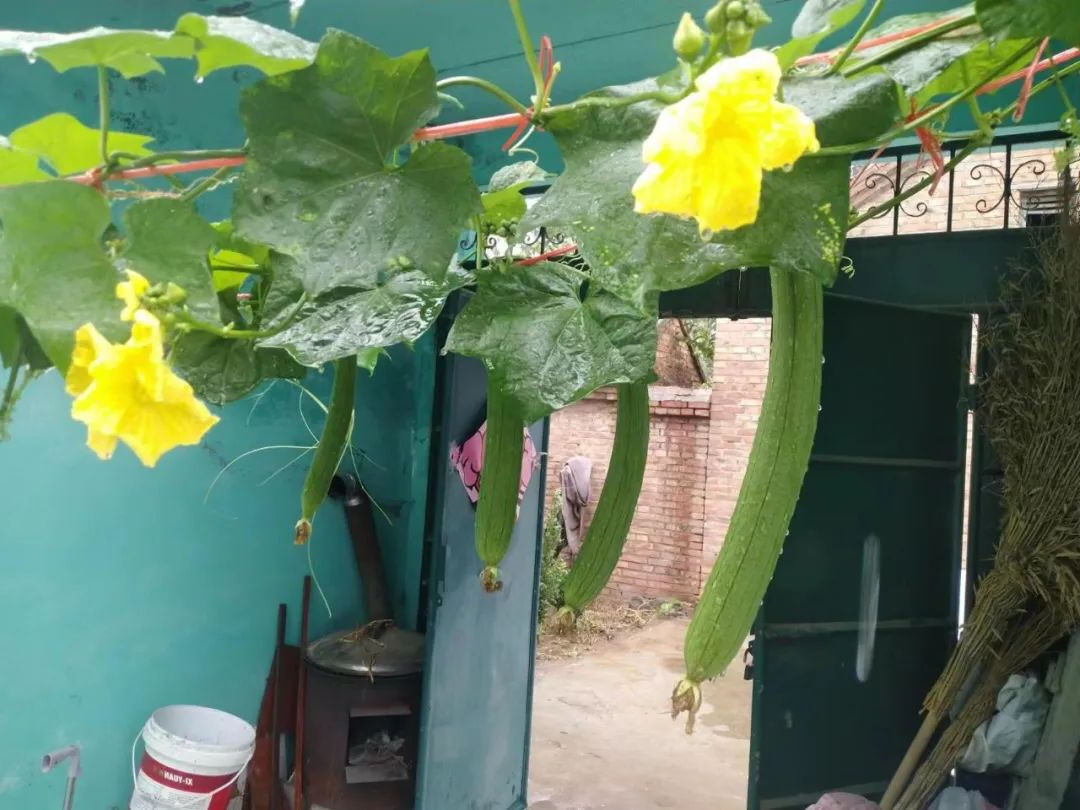 1661819574705540.jpg 微信图片_20220830081355.jpg