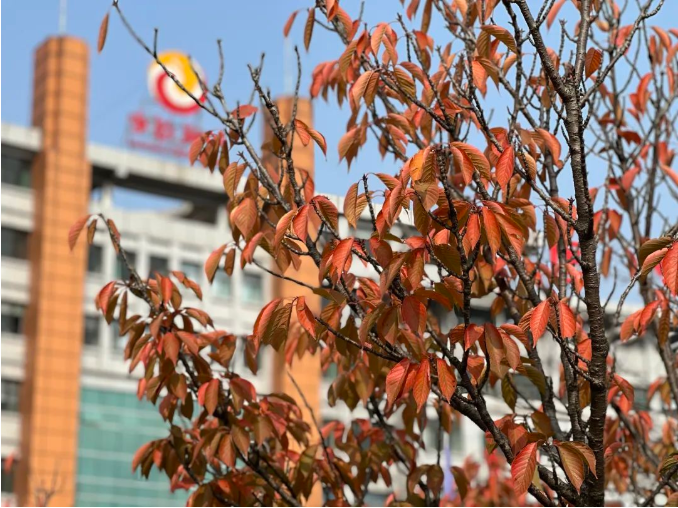 微信截图_20221031091430.png