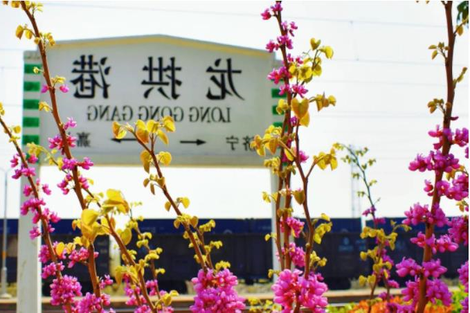 微信截图_20230412091132.jpg