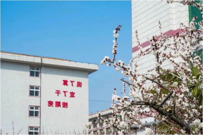 微信截图_20230415090643.jpg