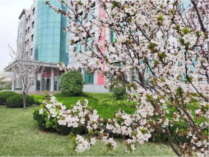 微信截图_20230419075740.jpg