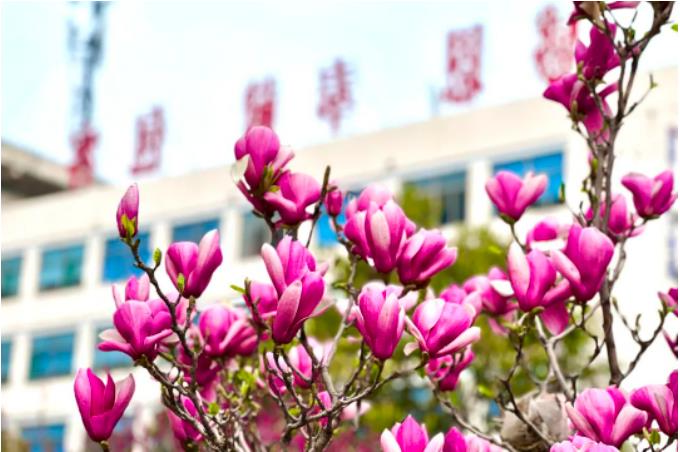 微信截图_20230420075728.jpg