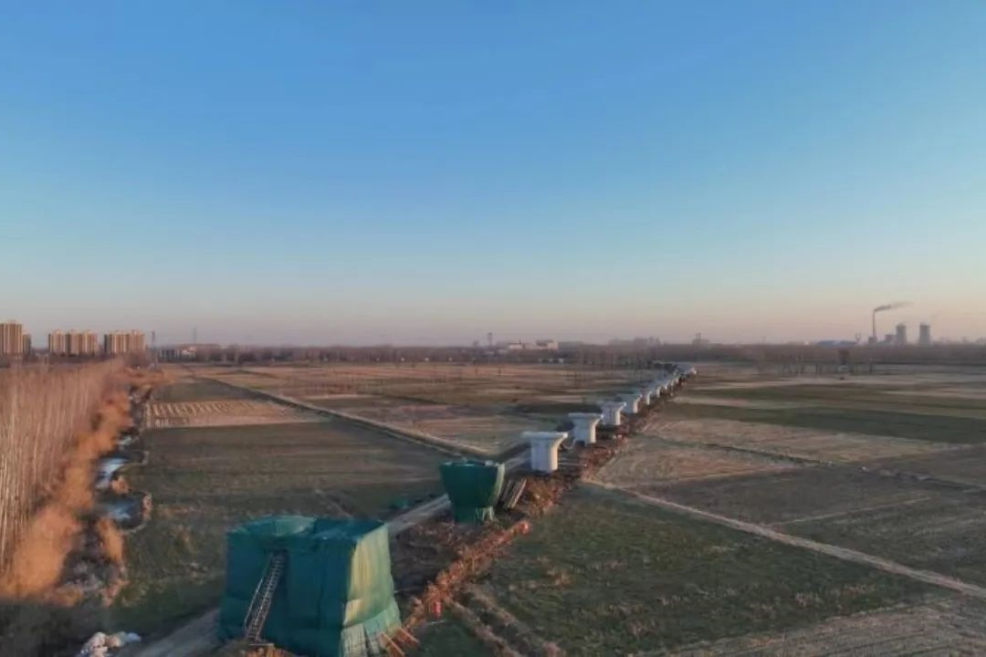 6404444.jpg