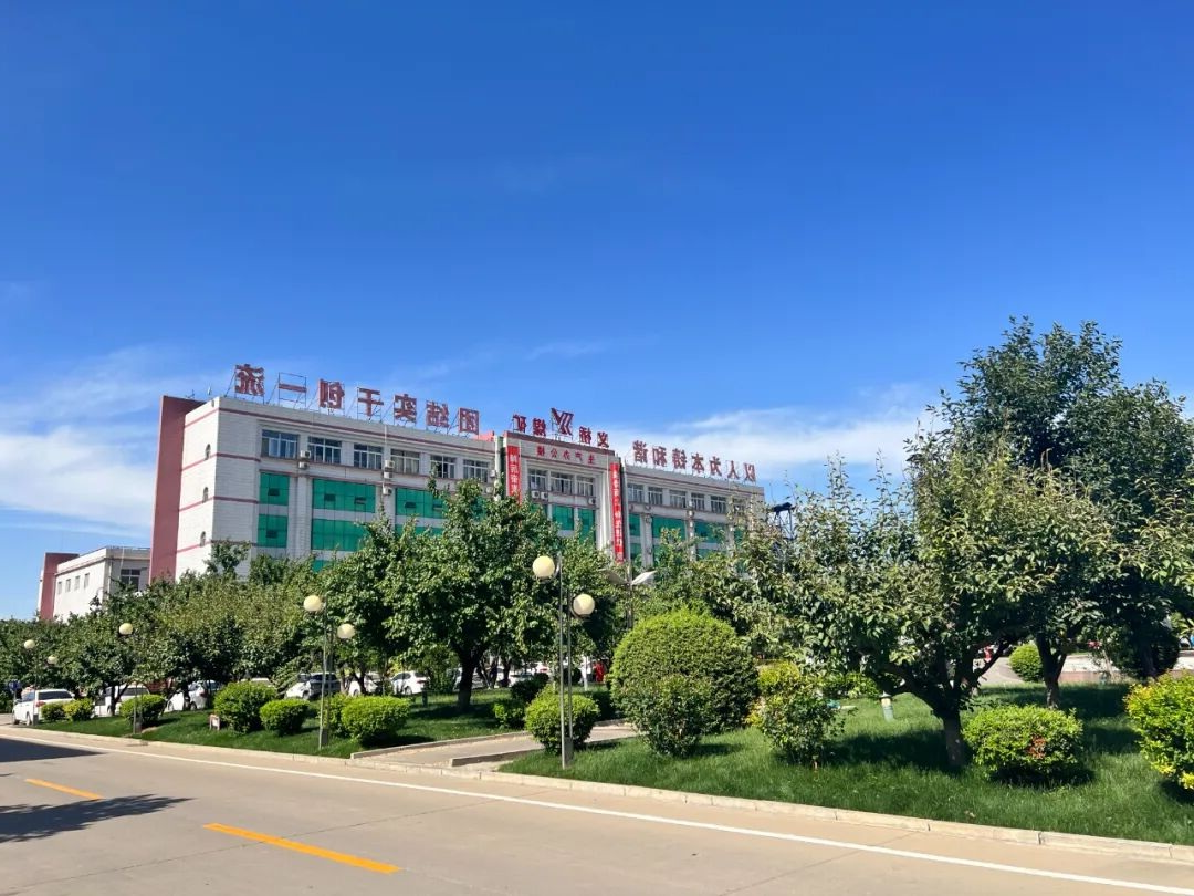 1763961008490863.jpg 04.jpg