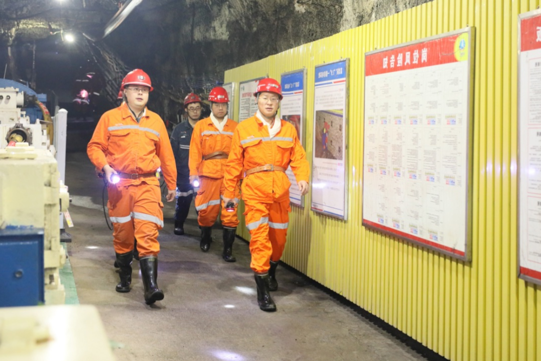 1765152670268604.jpg 03.jpg