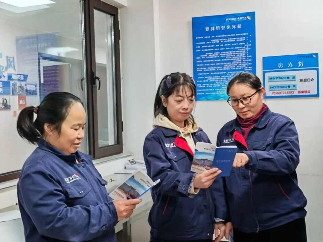 1767596598690444.jpg 01.jpg